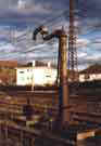 Grue  eau de Lourdes